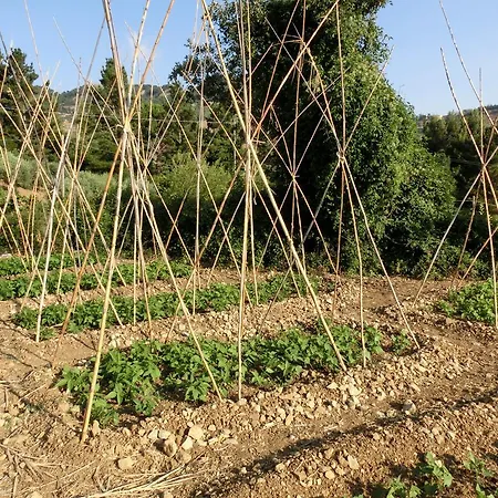 Cuca Alloggio per agriturismo Polizzi Generosa