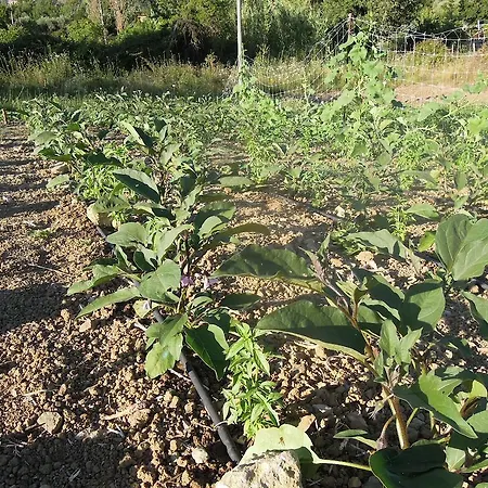 Alloggio per agriturismo Cuca *