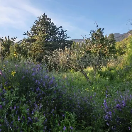 Cuca Farma Polizzi Generosa