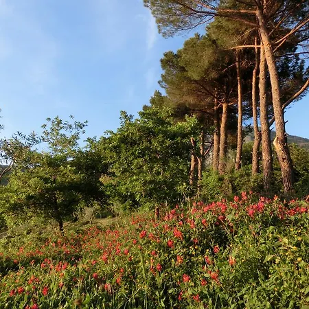 Cuca Bauernhof