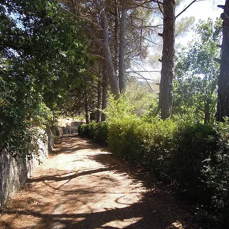 Cuca Polizzi Generosa